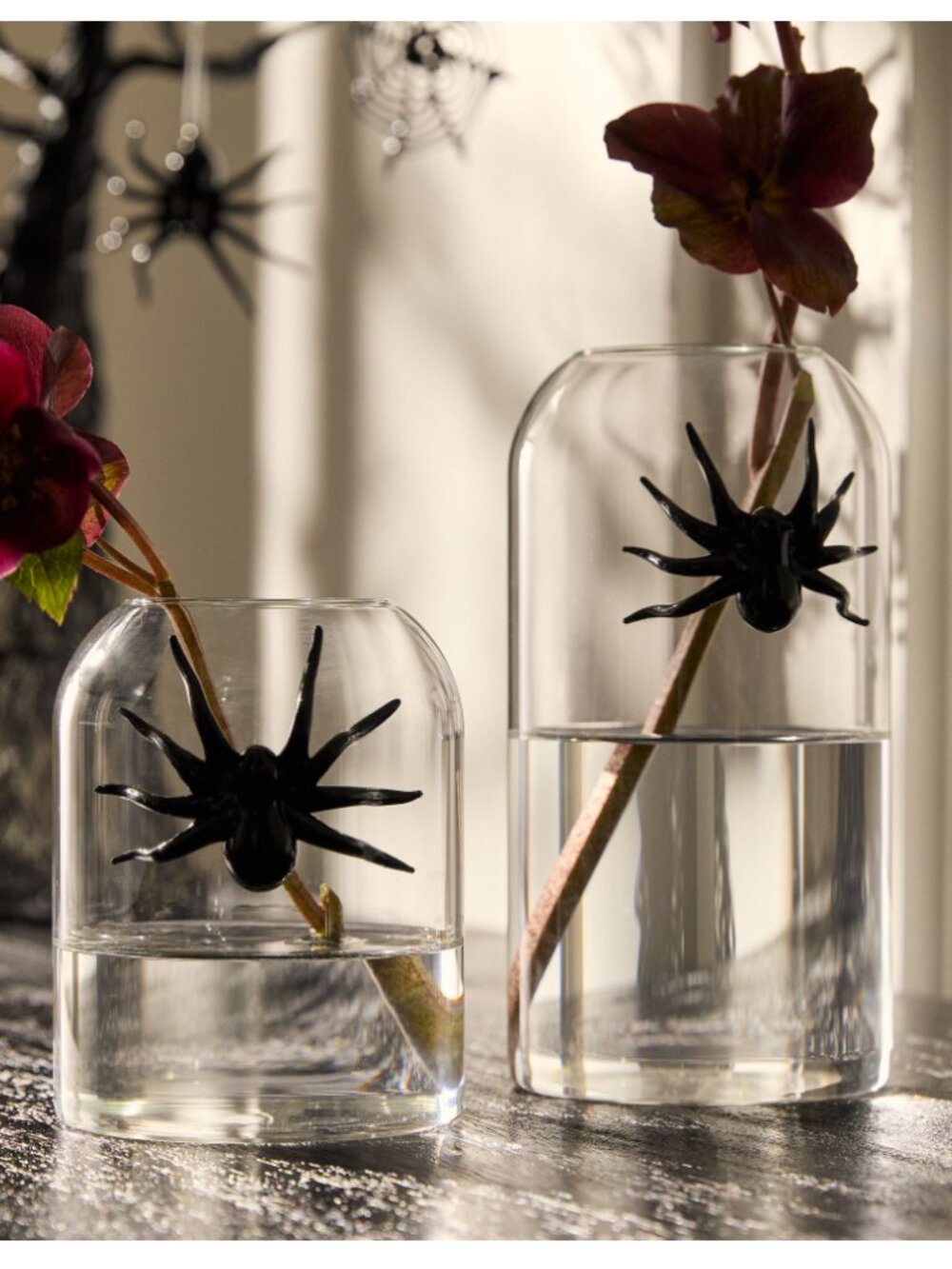 West Elm Glass Spider Vase - Picture 2 of 8